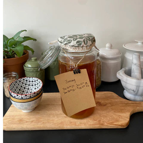 Kombucha Basics for Beginners