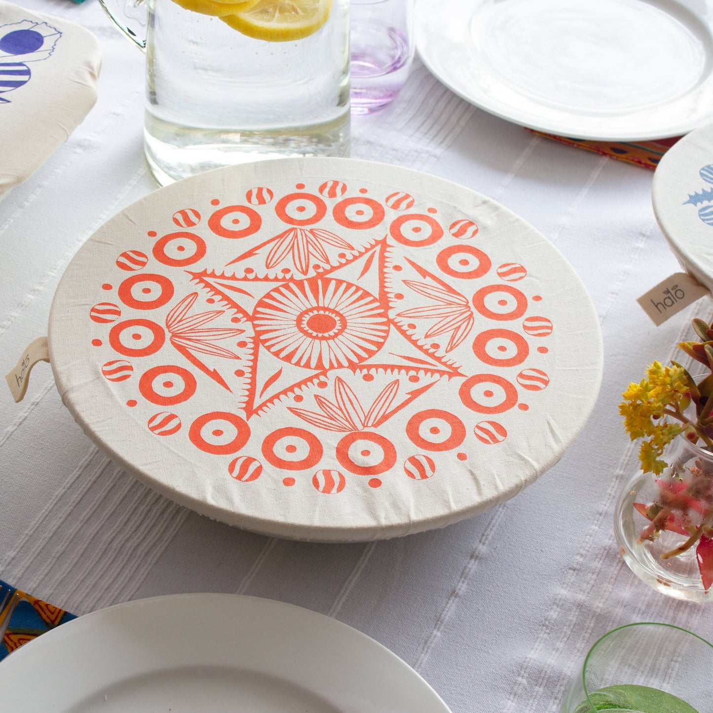 Halo Dish and Bowl Cover Large Aloe | Kirsten Davidson
